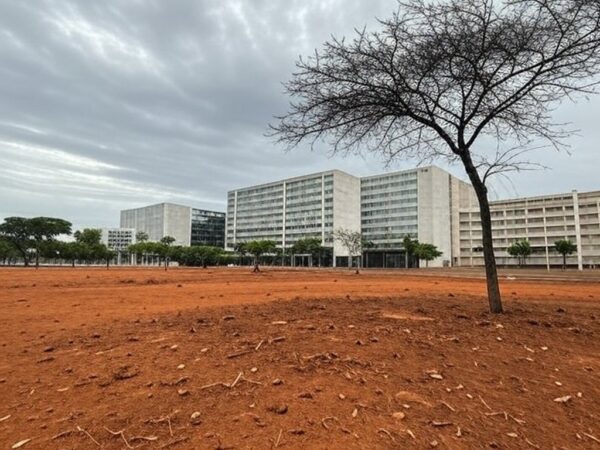 Rua em Brasília com pouca arborização, expondo falhas na política ambiental e desigualdades no DF.