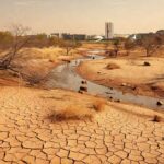 Paisagem degradada no Cerrado com nascentes secas, destacando perda ambiental no Brasil.