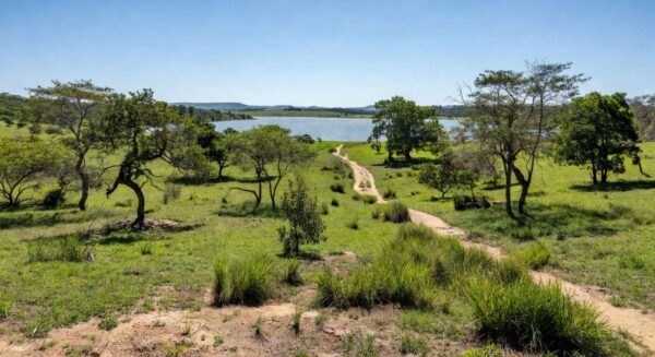 Paisagem natural da Serrinha do Paranoá em Brasília, com vegetação do Cerrado e vista para o lago, transformada em parque ambiental.