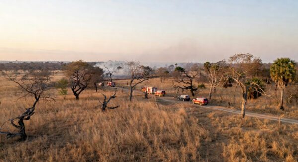 Paisagem do Cerrado com aceiros para prevenção de incêndios na Operação Verde Vivo