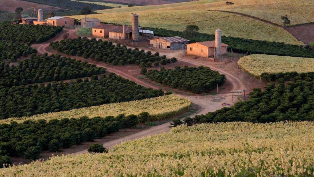 Paisagem rural no DF com campos secos simbolizando críticas à campanha de incentivo ao empreendedor rural