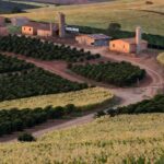Paisagem rural no DF com campos secos simbolizando críticas à campanha de incentivo ao empreendedor rural