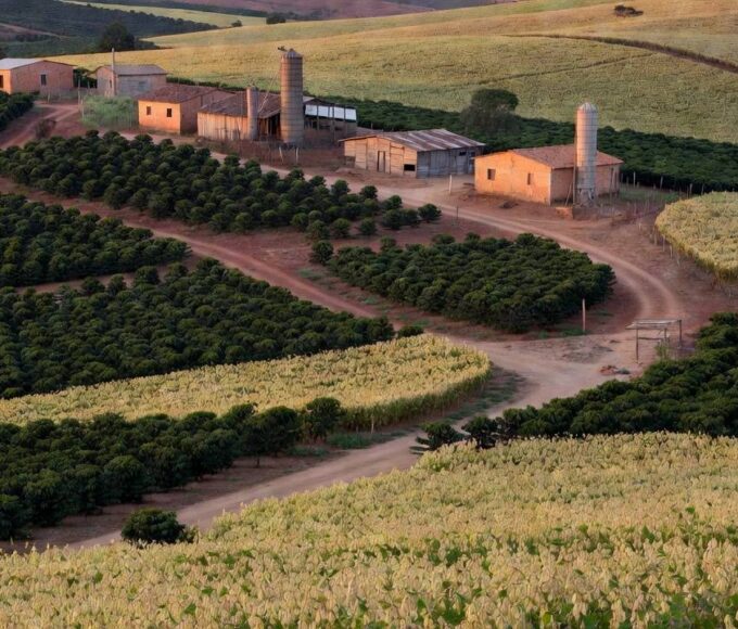 Paisagem rural no DF com campos secos simbolizando críticas à campanha de incentivo ao empreendedor rural
