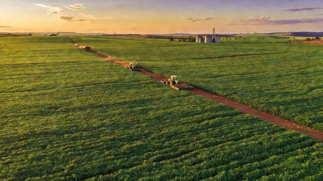 Paisagem rural no DF com lavouras em crise fiscal para crédito rural aprovado pela CLDF