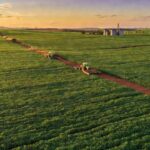 Paisagem rural no DF com lavouras em crise fiscal para crédito rural aprovado pela CLDF