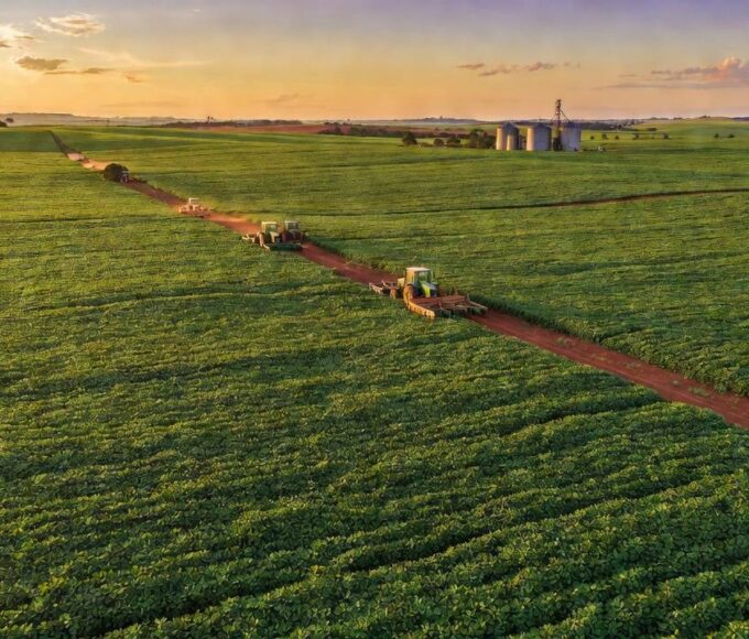 Paisagem rural no DF com lavouras em crise fiscal para crédito rural aprovado pela CLDF