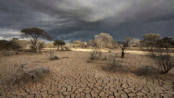 El Niño forte em 2026: novo índice europeu prevê evento extremo até novembro