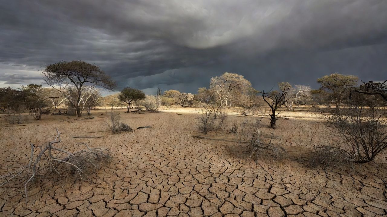 El Niño forte em 2026: novo índice europeu prevê evento extremo até novembro