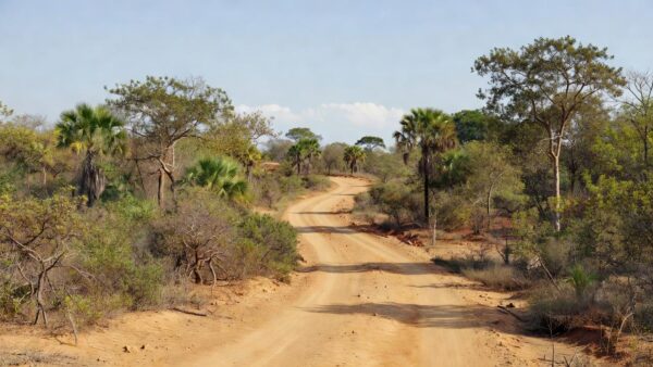 Parque educador com áreas verdes e trilhas no Brasil para inscrições 2026