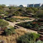 Jardim terapêutico em Brasília com sinais de abandono, representando lei em risco