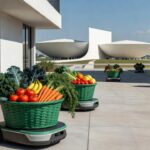 Cestas verdes com alimentos sendo entregues automaticamente no DF
