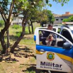 Viatura da PMDF em área verde do Núcleo Bandeirante durante resgate de sagui ferido