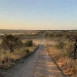 Estrada no cerrado do DF representando viagens gratuitas do Sesc para estudantes