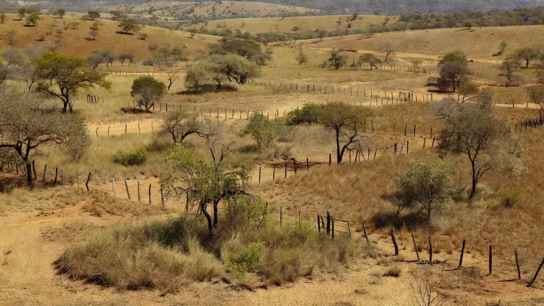 Área rural no Cerrado do DF sujeita a grilagem de terras