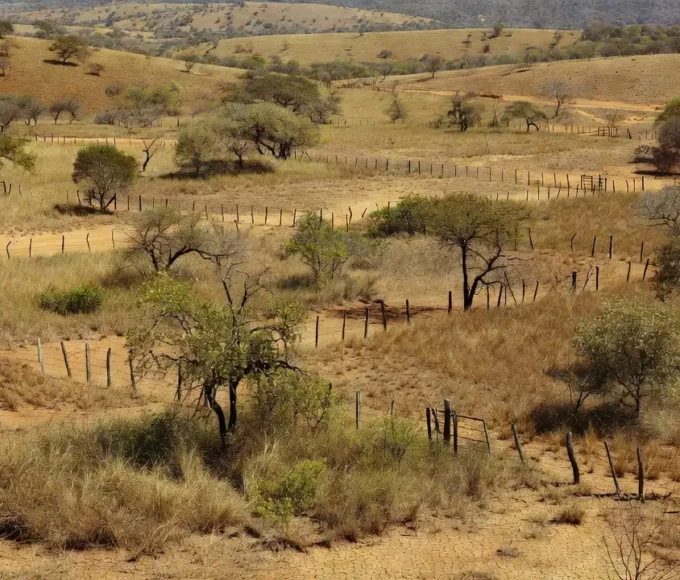 Área rural no Cerrado do DF sujeita a grilagem de terras