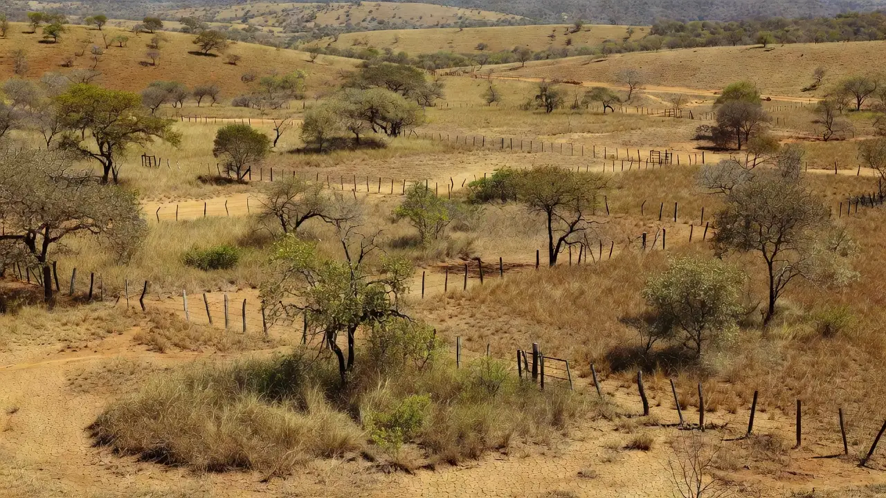 Área rural no Cerrado do DF sujeita a grilagem de terras