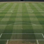Campo de futebol vazio representando corte na Seleção Brasileira por lesão muscular